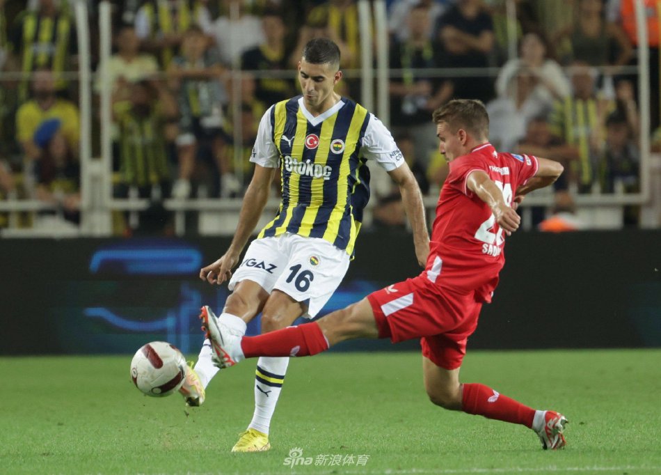 从而为他的 从而为他的